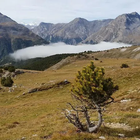 Chasa Melchior * 策尔内茨