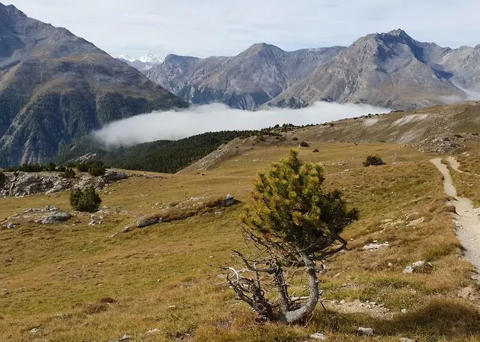 Chasa Melchior * זרנץ